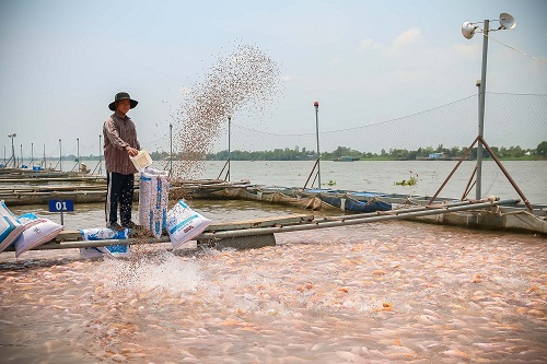 mm-mega-market-dy-manh-quang-ba-nong-san-viet-1