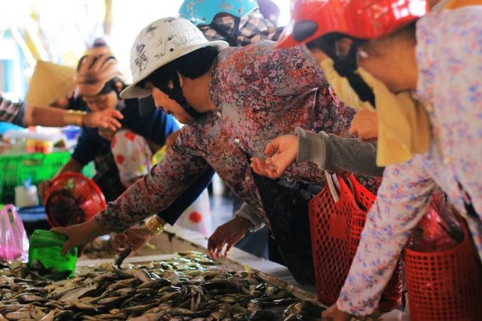 Chợ hải sản miền Tây nhộn nhịp ngày giáp Tết