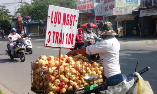 Lựu Trung Quốc bán đầy đường Việt Nam. Ảnh: Thi Hà.
