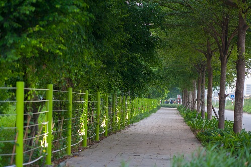 Những con đường nội khu rợp bóng cây xanh tại Hồng Hà Eco City.