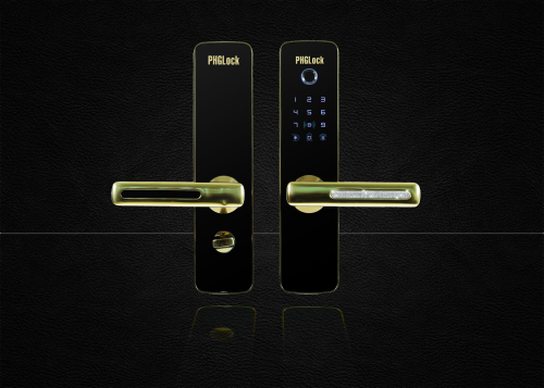 Khoá cửa điện tử mạ vàng đính kim cương FP7153.