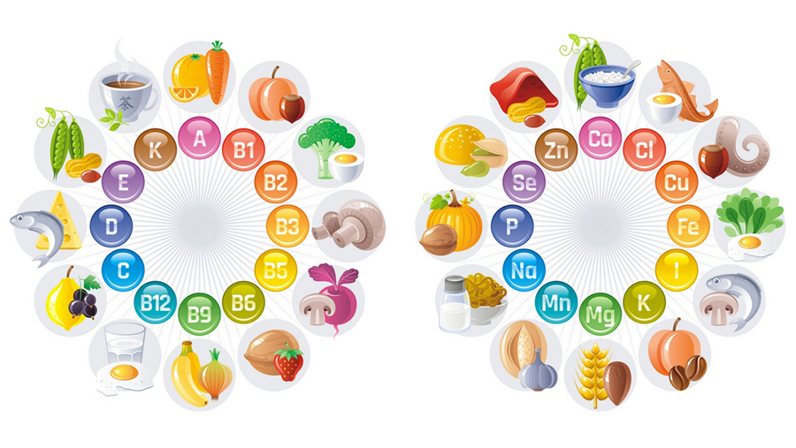 Các loại vitamin và khoáng chất có trong thức ăn rất cần thiết cho cơ thể.