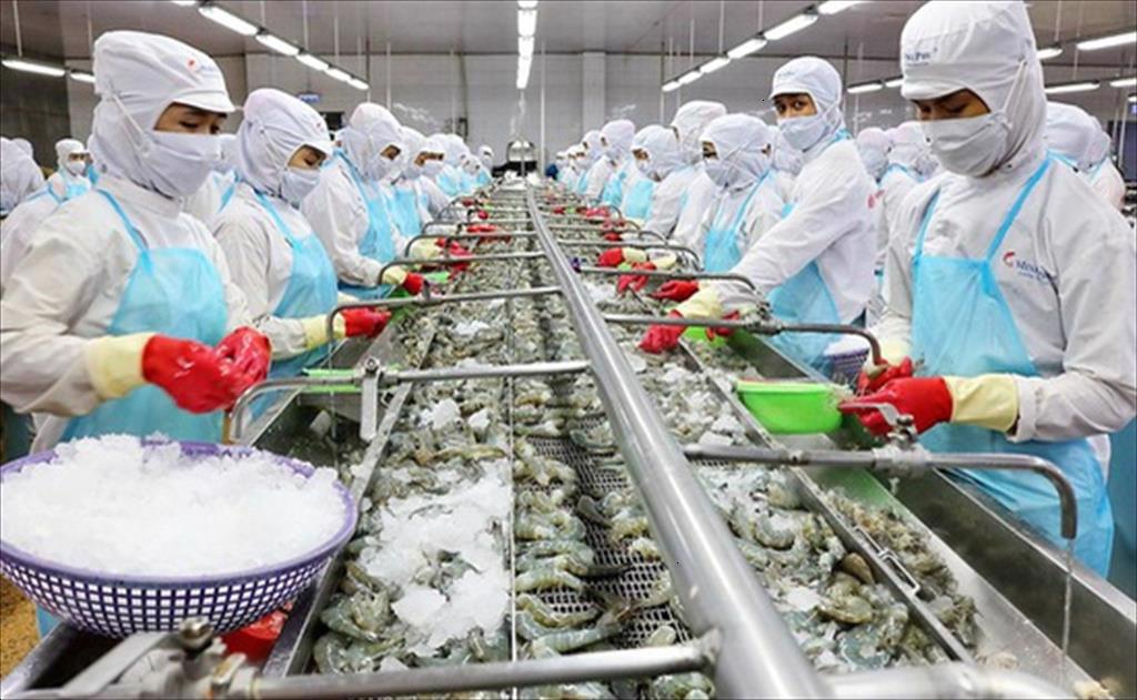 Một cơ sở chế biến thủy hải sản tại ĐBSCL. Ảnh: XIN NGUỒN